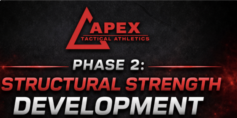 Phase 2: Structural Strength Development — Building Muscle and Control